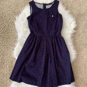 {The Limited} Polka Dot Dress
